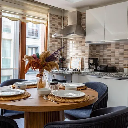 아파트 Modern Flat With Balcony Near To Galataport *