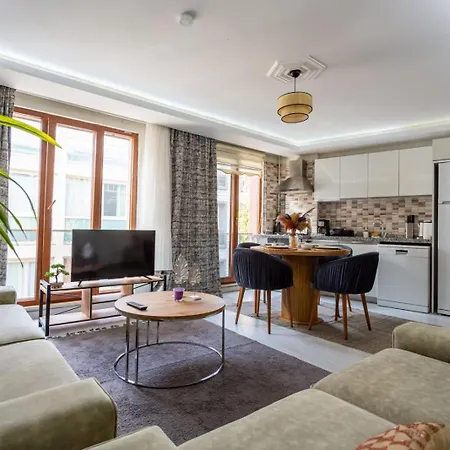 Modern Flat With Balcony Near To Galataport Istanbul